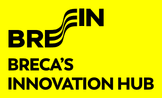 BREIN HUB logo